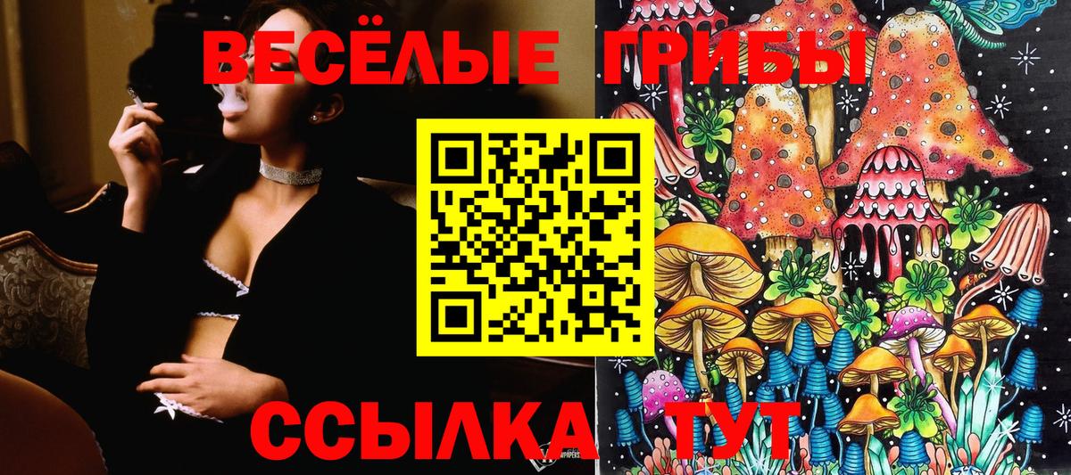 Галлюциногенные грибы Cubensis  Галлюциногенные грибы Psilocybine cubensis  наркошоп  Гусь-Хрустальный  Вход с VPN 