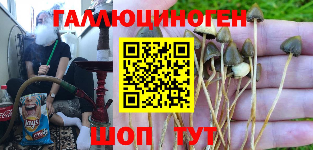Галлюциногенные грибы GOLDEN TEACHER Гусь-Хрустальный